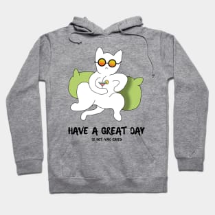 Have a great day or not who cares Hoodie